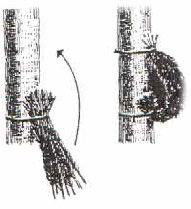 Nisthilfen